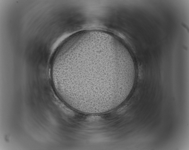 X0000099951462200806061531