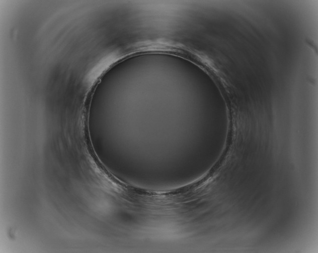 X0000099951463200806061531