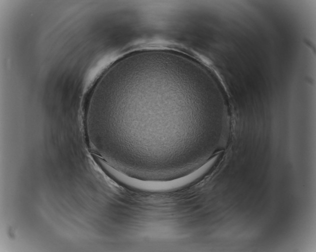 X0000099951464200806061531