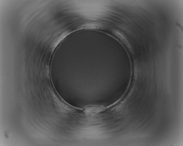 X0000099951465200806061531