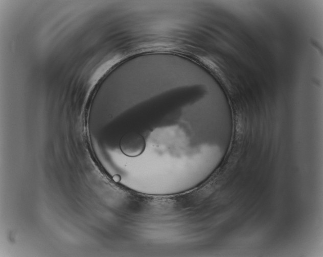 X0000099951466200806061531