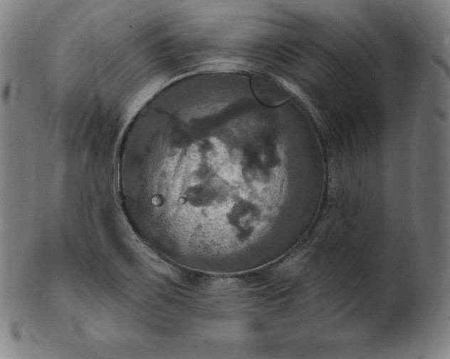 X0000099951467200806061531