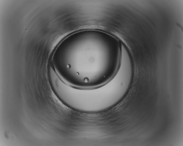 X0000099951468200806061531