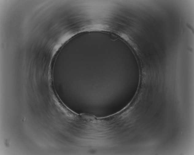 X0000099951469200806061531