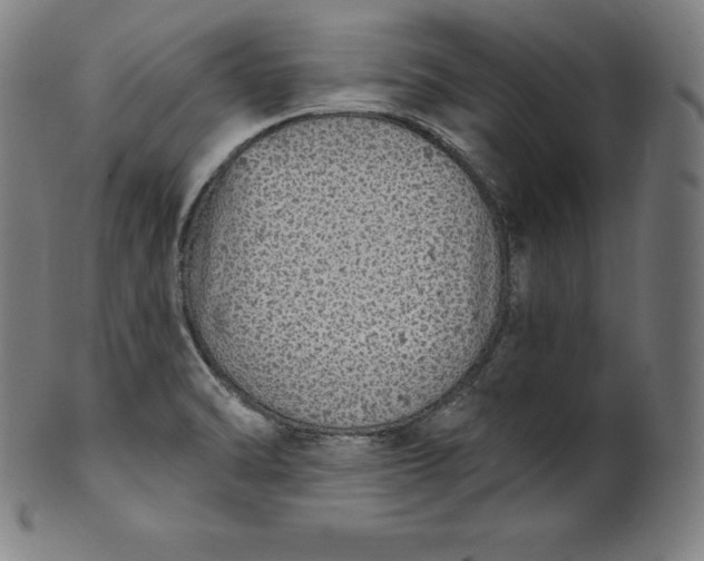 X0000099951470200806061531