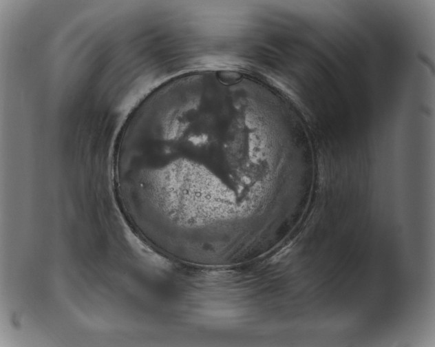 X0000099951471200806061531