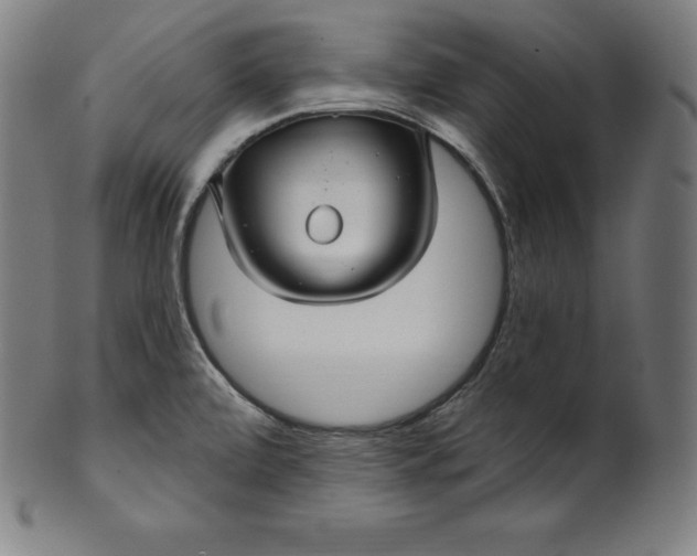 X0000099951472200806061531