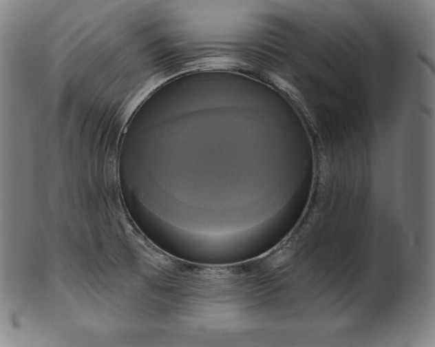 X0000099951473200806061531