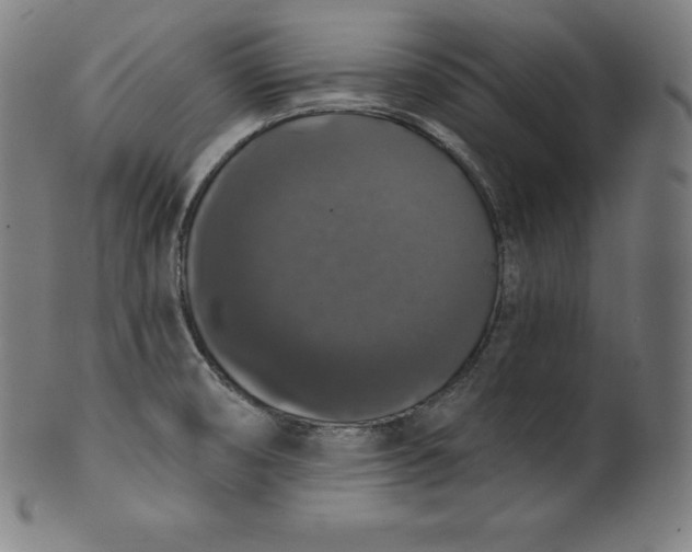 X0000099951474200806061531