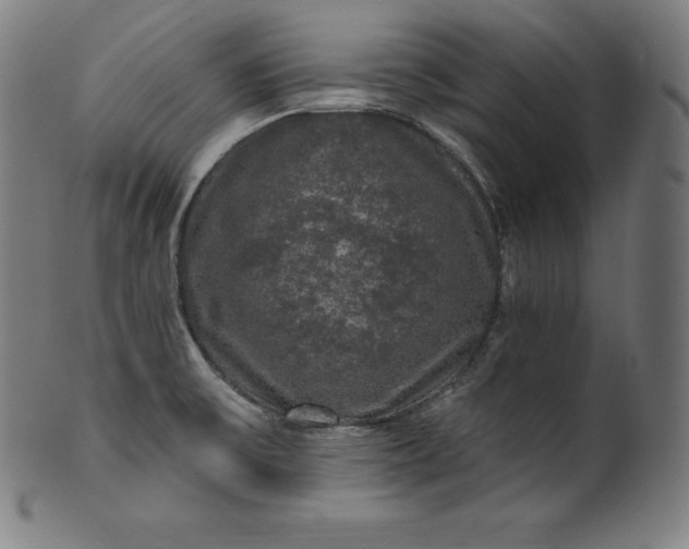 X0000099951475200806061531