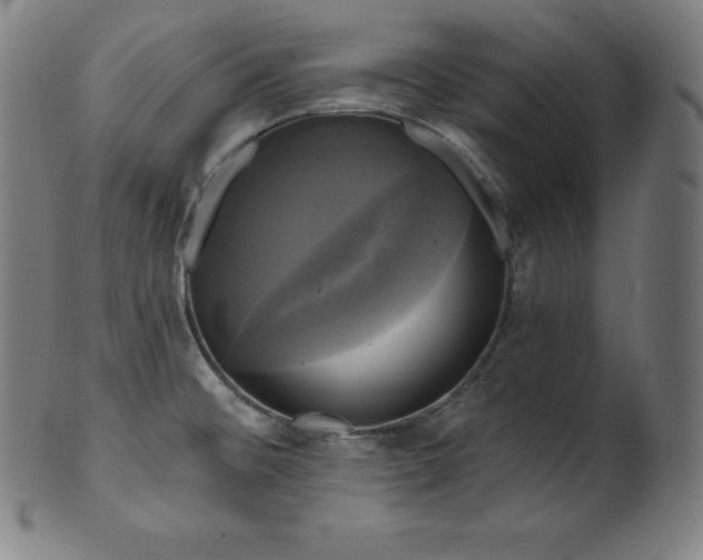 X0000099951476200806061531