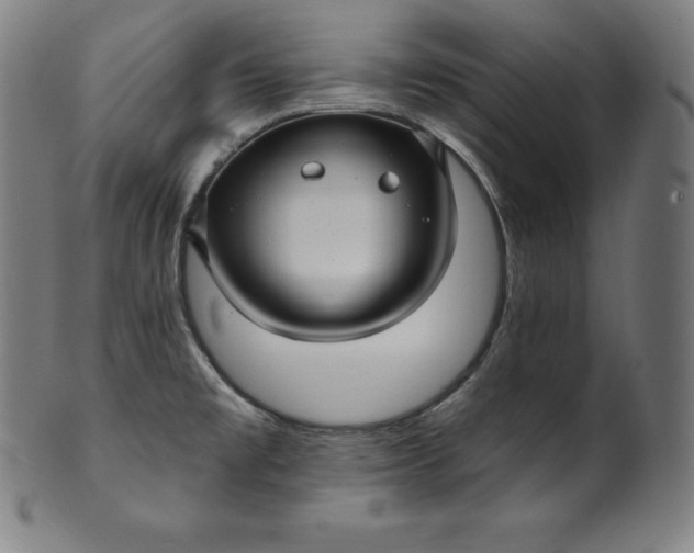 X0000099951477200806061531