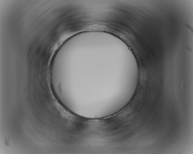 X0000099951478200806061531