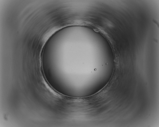 X0000099951479200806061531