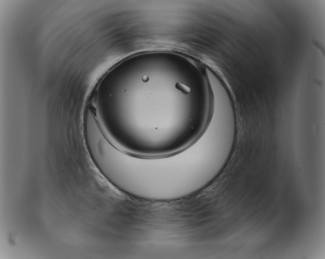 X0000099951480200806061531