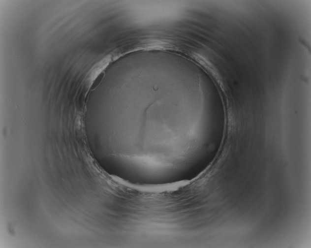 X0000099951481200806061531