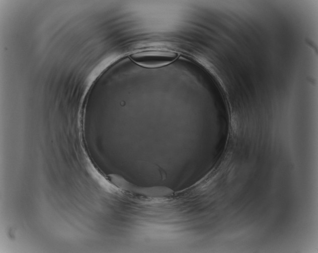 X0000099951482200806061531