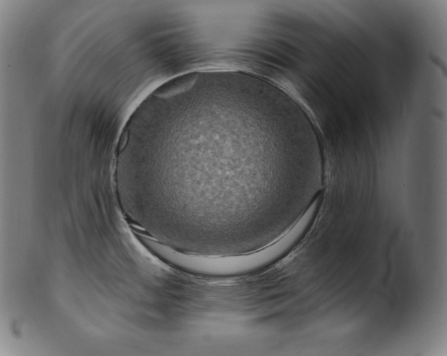 X0000099951484200806061531