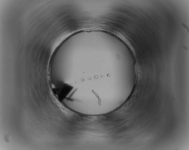 X0000099951485200806061531