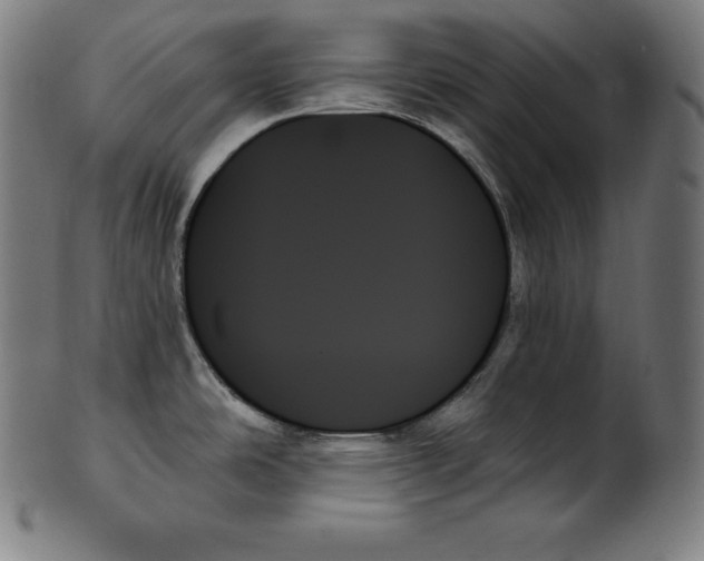 X0000099951486200806061531