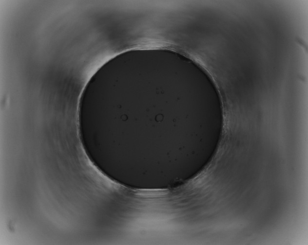 X0000099951487200806061531