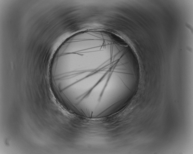 X0000099951488200806061530