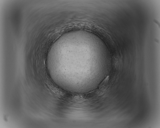 X0000099951489200806061530