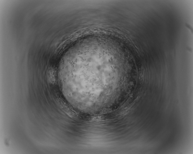 X0000099951490200806061530