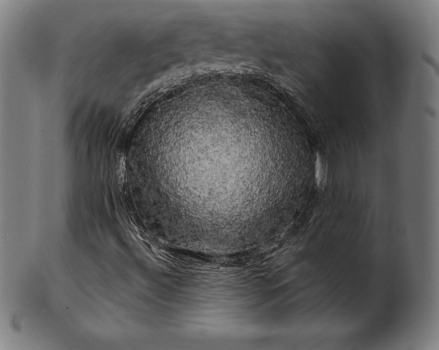 X0000099951492200806061530