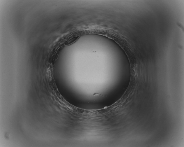 X0000099951493200806061530