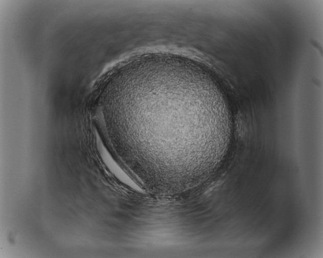 X0000099951494200806061530