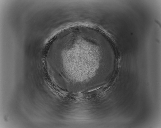 X0000099951496200806061530