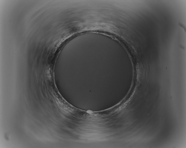 X0000099951497200806061530