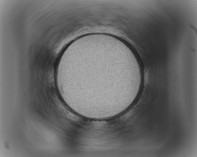 X0000099951498200806061530