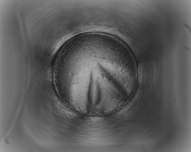 X0000099951501200806061530