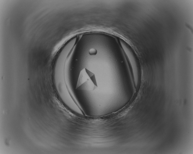 X0000099951502200806061530