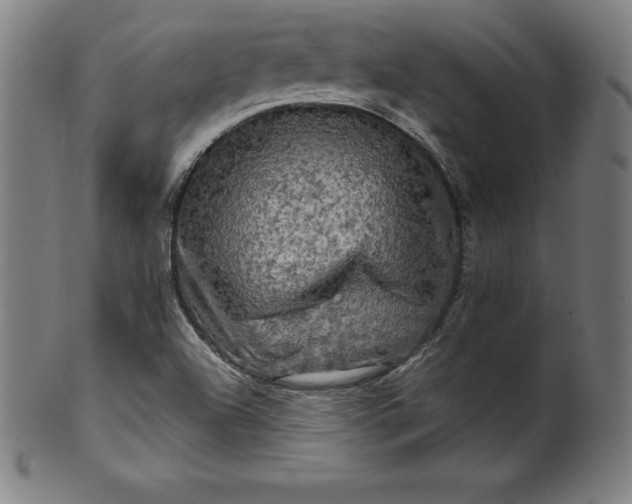 X0000099951504200806061530