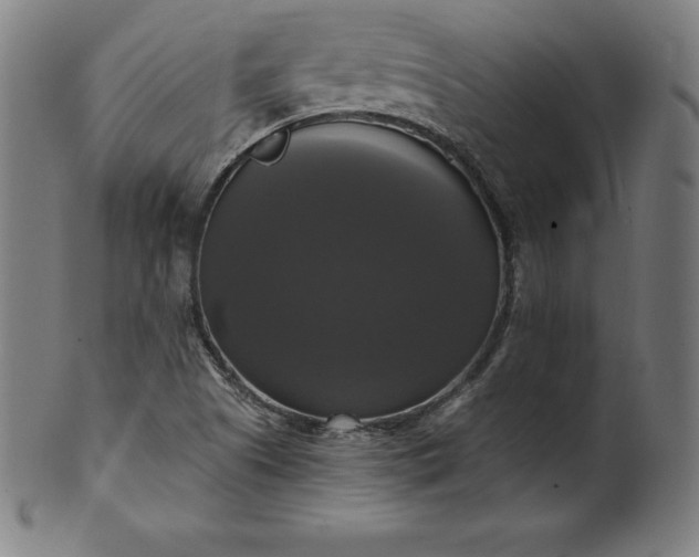 X0000099951505200806061530