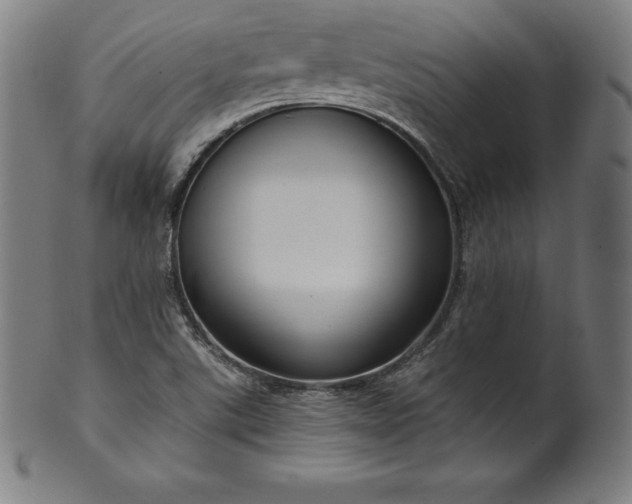 X0000099951507200806061530