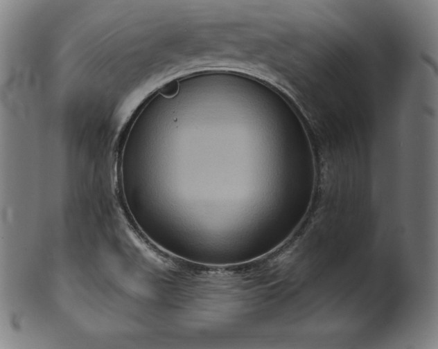 X0000099951511200806061530