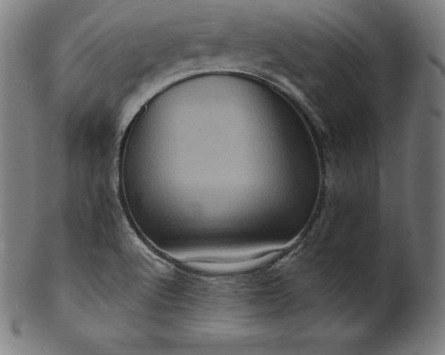 X0000099951512200806061530