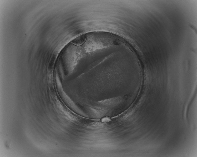 X0000099951513200806061530