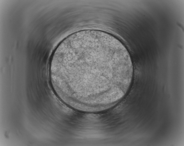 X0000099951514200806061530