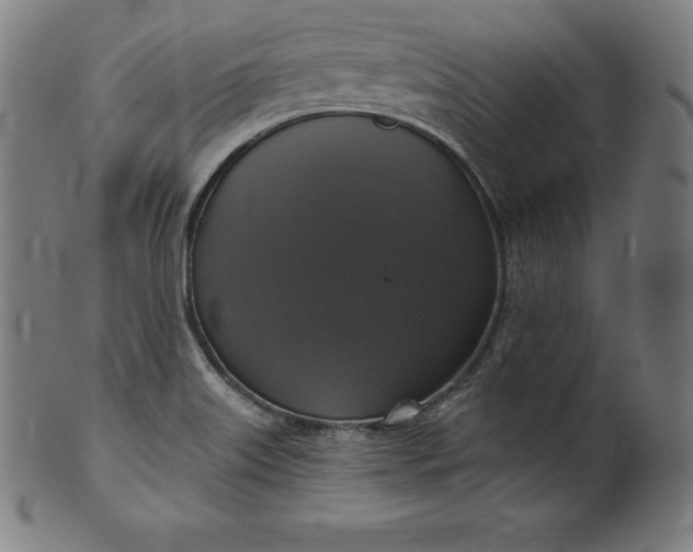 X0000099951515200806061530