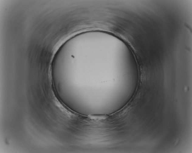 X0000099951516200806061530