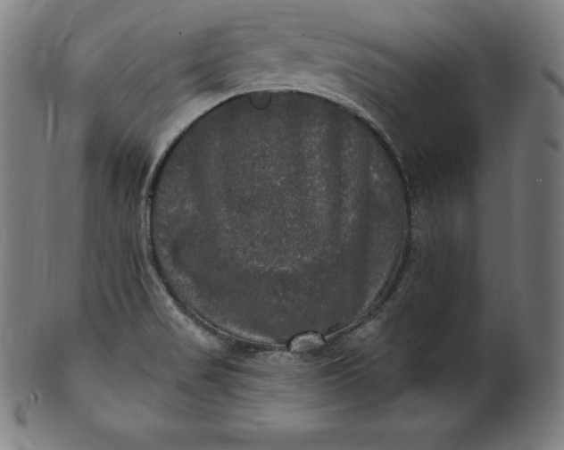 X0000099951517200806061530