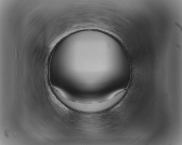 X0000099951518200806061530