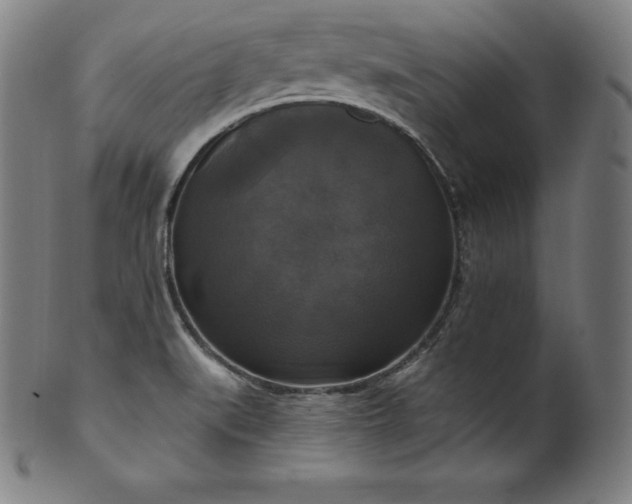 X0000099951519200806061530