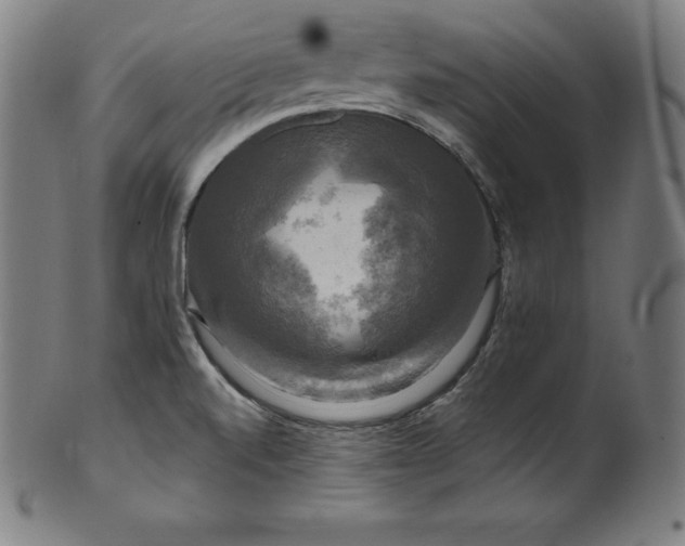 X0000099951520200806061530