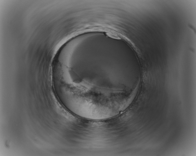 X0000099951522200806061530